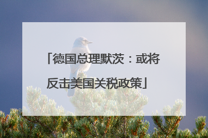 德国总理默茨：或将反击美国关税政策