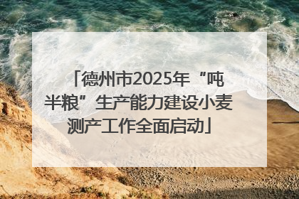 德州市2025年“吨半粮”生产能力建设小麦测产工作全面启动