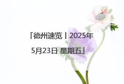 德州速览丨2025年5月23日 星期五
