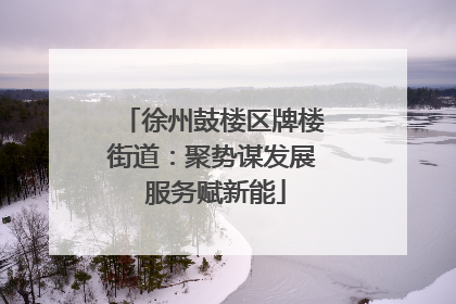 徐州鼓楼区牌楼街道：聚势谋发展 服务赋新能