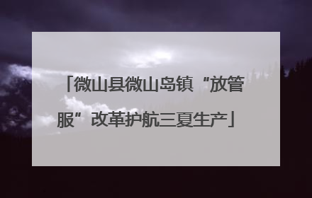 微山县微山岛镇“放管服”改革护航三夏生产