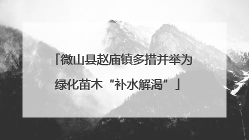 微山县赵庙镇多措并举为绿化苗木“补水解渴”