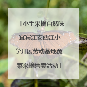 小手采摘自然味 宜宾江安西江小学开展劳动基地蔬菜采摘售卖活动