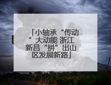 小轴承“传动”大动能 浙江新昌“拼”出山区发展新路