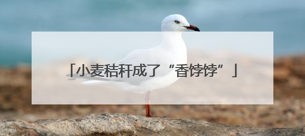 小麦秸秆成了“香饽饽”