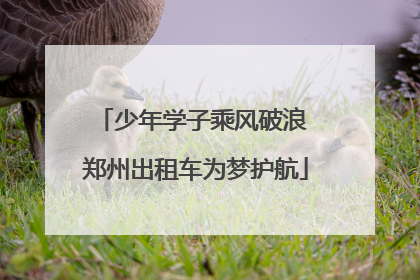 少年学子乘风破浪 郑州出租车为梦护航