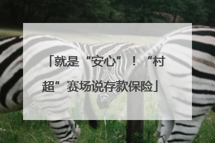 就是“安心”！“村超”赛场说存款保险