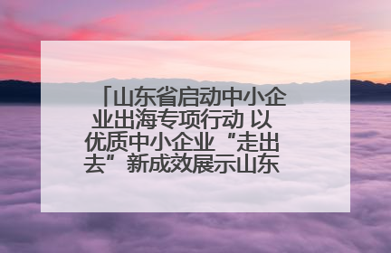 山东省启动中小企业出海专项行动 以优质中小企业“走出去”新成效展示山东产业发展新形象