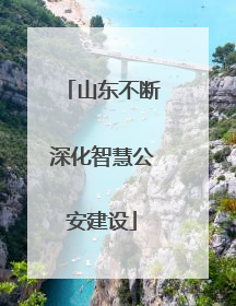 山东不断深化智慧公安建设