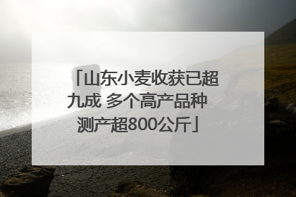 山东小麦收获已超九成 多个高产品种测产超800公斤