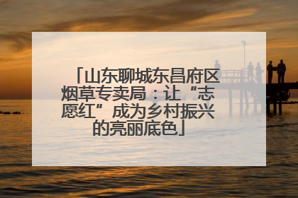 山东聊城东昌府区烟草专卖局：让“志愿红”成为乡村振兴的亮丽底色