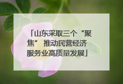 山东采取三个“聚焦” 推动民营经济服务业高质量发展