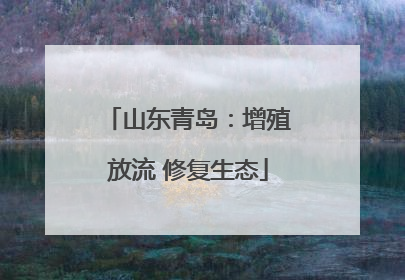 山东青岛：增殖放流 修复生态