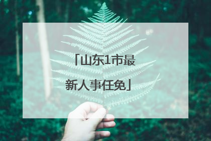 山东1市最新人事任免
