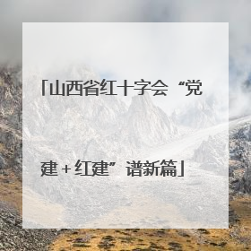 山西省红十字会“党建＋红建”谱新篇