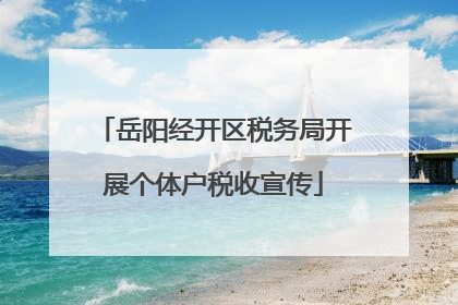岳阳经开区税务局开展个体户税收宣传