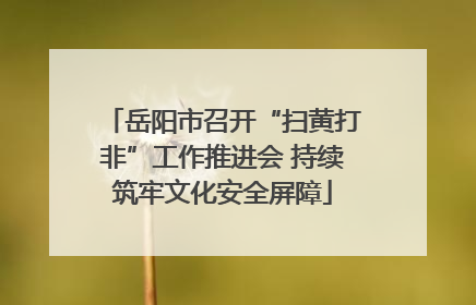 岳阳市召开“扫黄打非”工作推进会 持续筑牢文化安全屏障