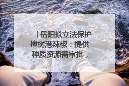 岳阳拟立法保护樟树港辣椒：提供种质资源需审批，违规最高罚5万