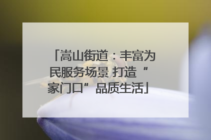 嵩山街道：丰富为民服务场景 打造“家门口”品质生活