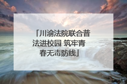 川渝法院联合普法进校园 筑牢青春无毒防线