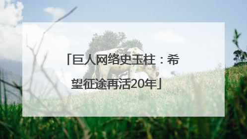 巨人网络史玉柱：希望征途再活20年