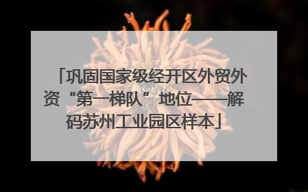 巩固国家级经开区外贸外资“第一梯队”地位——解码苏州工业园区样本
