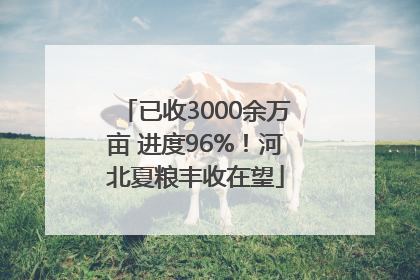 已收3000余万亩 进度96%！河北夏粮丰收在望