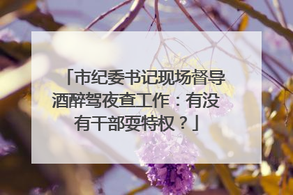 市纪委书记现场督导酒醉驾夜查工作：有没有干部耍特权？