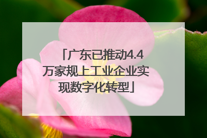 广东已推动4.4万家规上工业企业实现数字化转型
