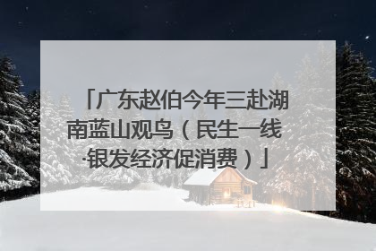 广东赵伯今年三赴湖南蓝山观鸟（民生一线·银发经济促消费）
