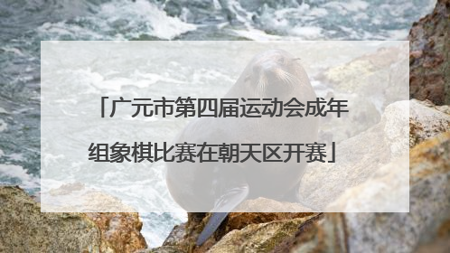 广元市第四届运动会成年组象棋比赛在朝天区开赛
