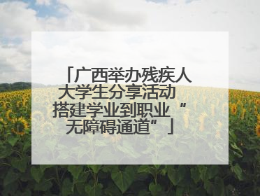 广西举办残疾人大学生分享活动 搭建学业到职业“无障碍通道”