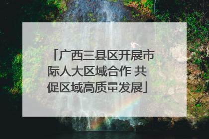 广西三县区开展市际人大区域合作 共促区域高质量发展