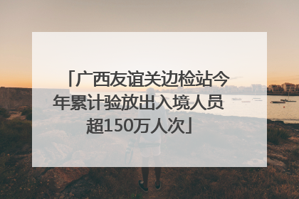 广西友谊关边检站今年累计验放出入境人员超150万人次