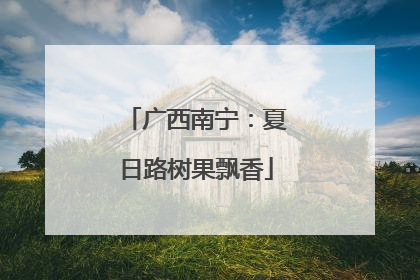 广西南宁：夏日路树果飘香