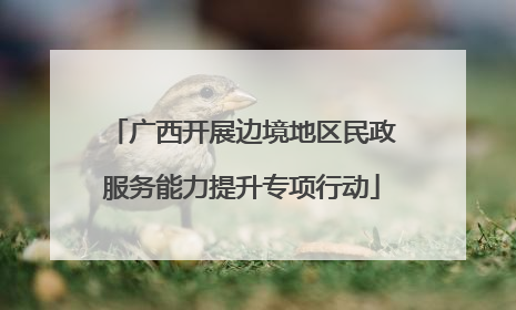 广西开展边境地区民政服务能力提升专项行动