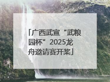 广西武宣“武粮园杯”2025龙舟邀请赛开桨