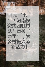 庆“七一”！河南投资集团驻村队与高校“牵手”，为乡村振兴添新活力