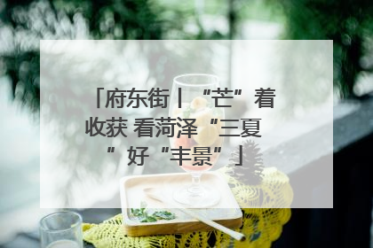 府东街丨“芒”着收获 看菏泽“三夏”好“丰景”