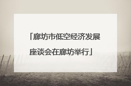 廊坊市低空经济发展座谈会在廊坊举行