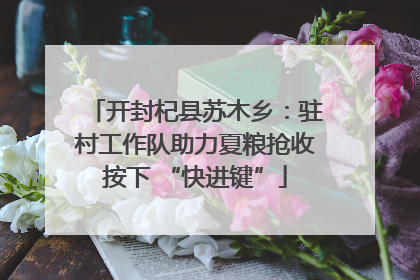 开封杞县苏木乡：驻村工作队助力夏粮抢收按下 “快进键”