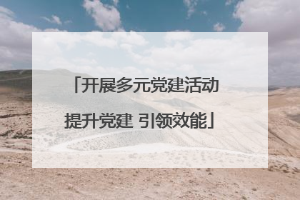 开展多元党建活动 提升党建 引领效能