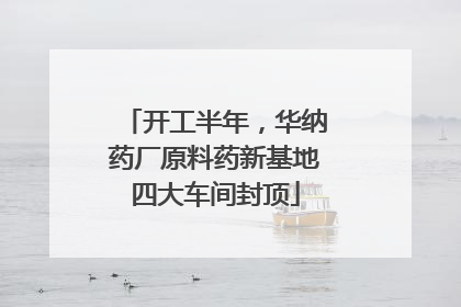 开工半年，华纳药厂原料药新基地四大车间封顶