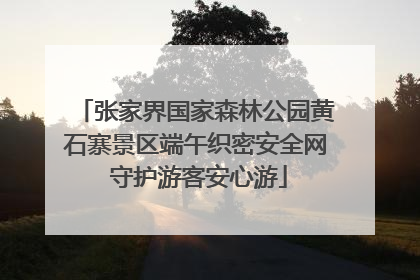 张家界国家森林公园黄石寨景区端午织密安全网 守护游客安心游