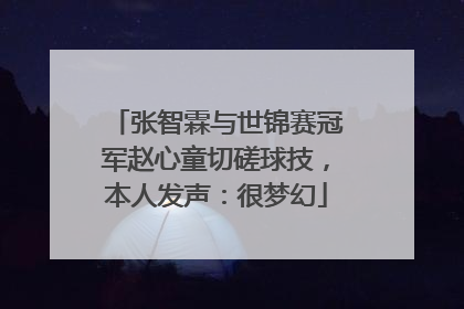 张智霖与世锦赛冠军赵心童切磋球技，本人发声：很梦幻