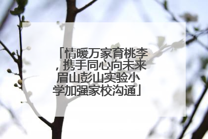 情暖万家育桃李，携手同心向未来 眉山彭山实验小学加强家校沟通