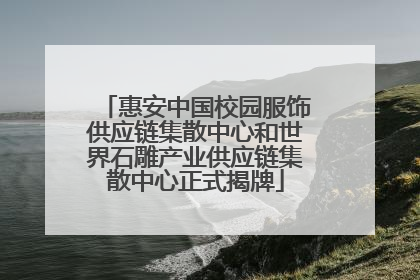 惠安中国校园服饰供应链集散中心和世界石雕产业供应链集散中心正式揭牌