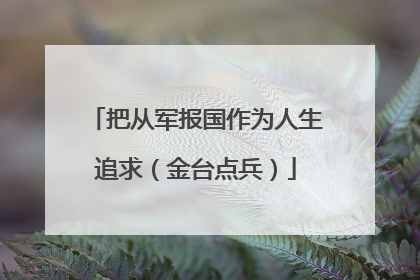 把从军报国作为人生追求（金台点兵）