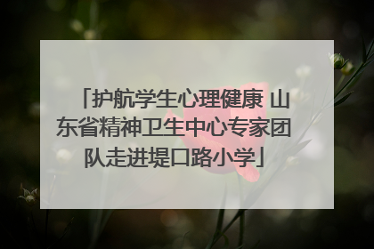 护航学生心理健康 山东省精神卫生中心专家团队走进堤口路小学