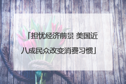 担忧经济前景 美国近八成民众改变消费习惯